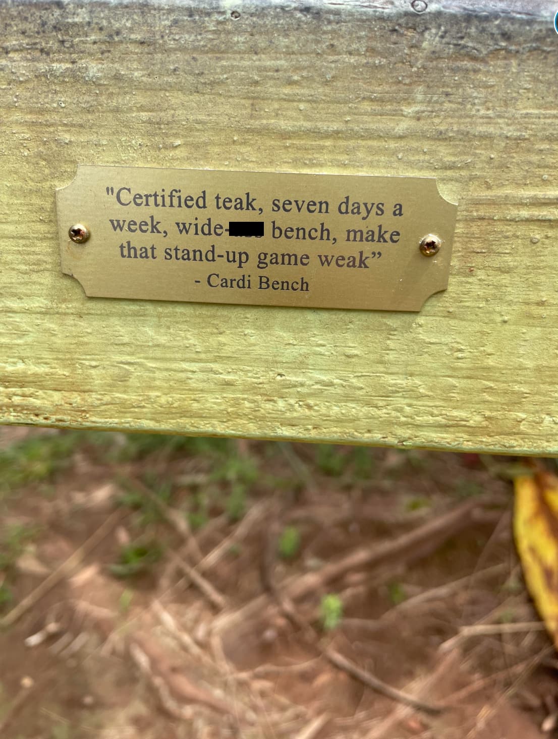 signage - "Certified teak, seven days a week, wide bench, make that standup game weak" Cardi Bench